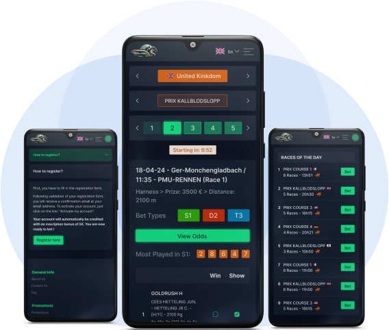 horse-racing-platform-responsive-design